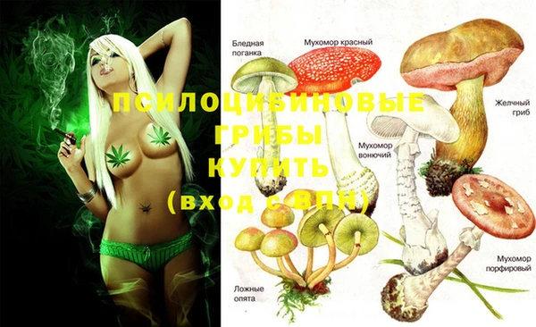 гашиш Покачи